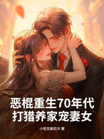 重生70年代农村媳完整版